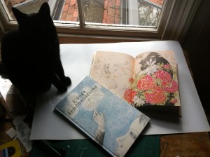 Beautiful illustrations by Joanna Concejo