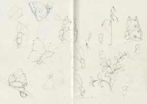 sketches-butterflies